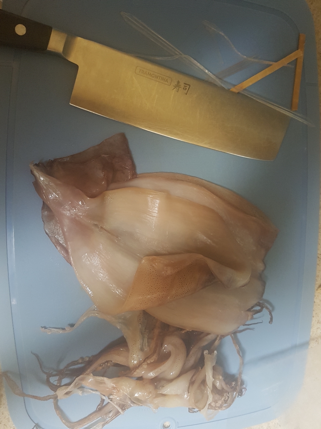 해선생 구룡포건조 원양산 반건오징어