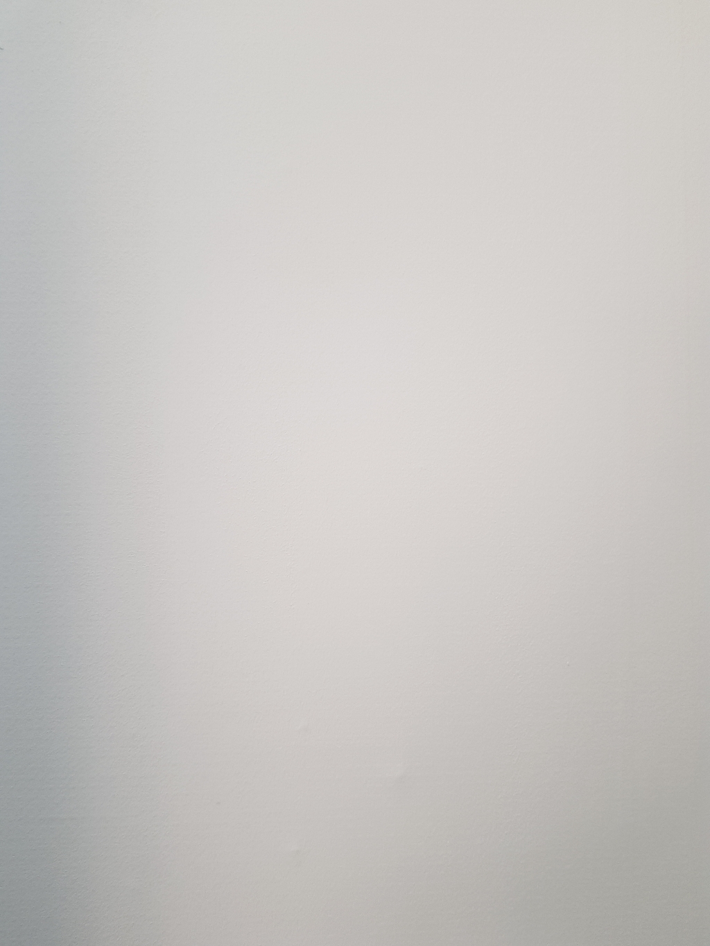 프로셀렉트 벽면벽지용 러