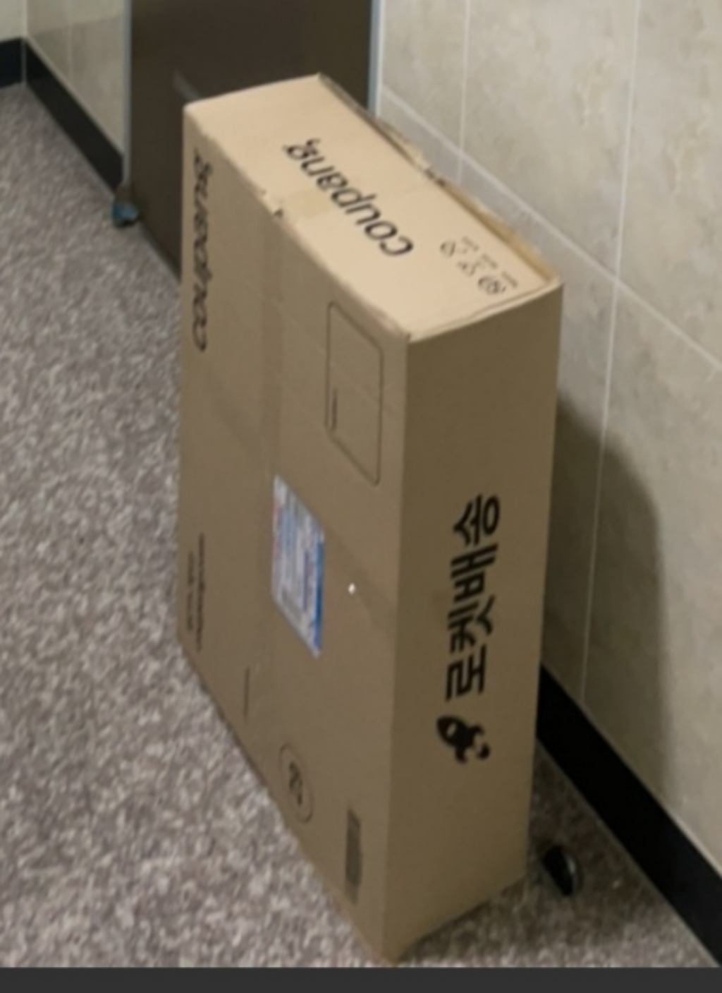 찐노마진몰 빅백