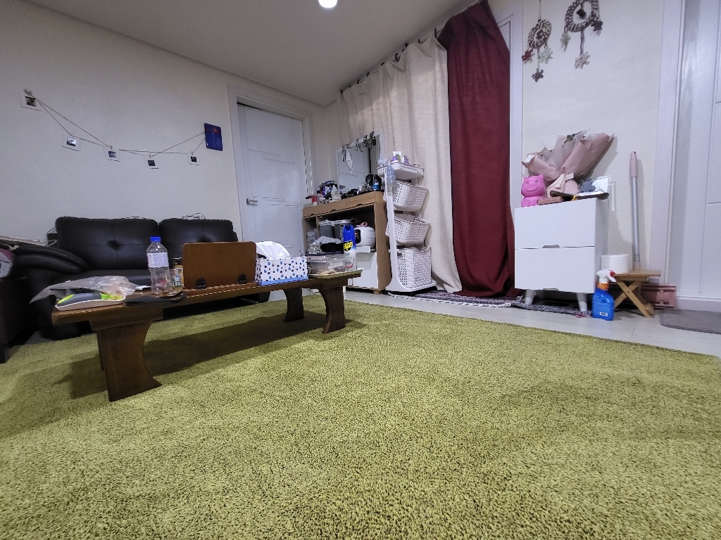 먼지없는 물세탁가능 도톰한 사계절 거실 사각 원형 러그 카페트
