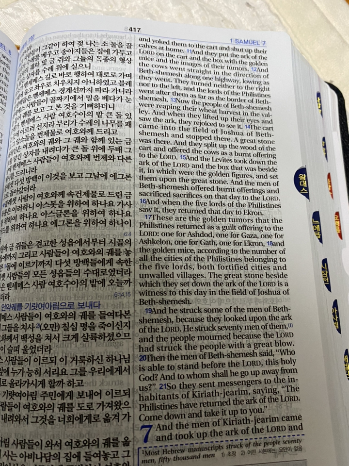 개역개정 ESV 한영 해설 성경 특중