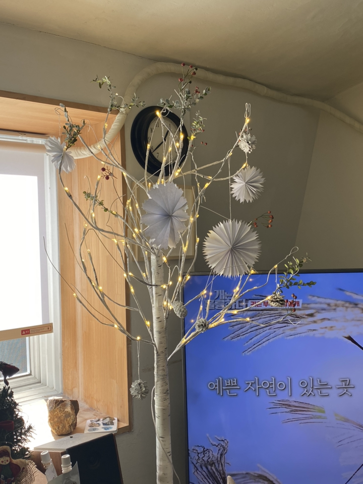 하우쎈스 크리스마스 ED 자작나무 트리 인테리어조명