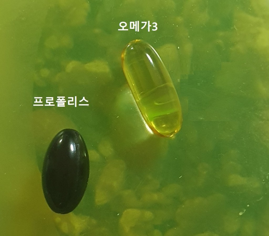 세노비스 프로폴리스 플러스 아연