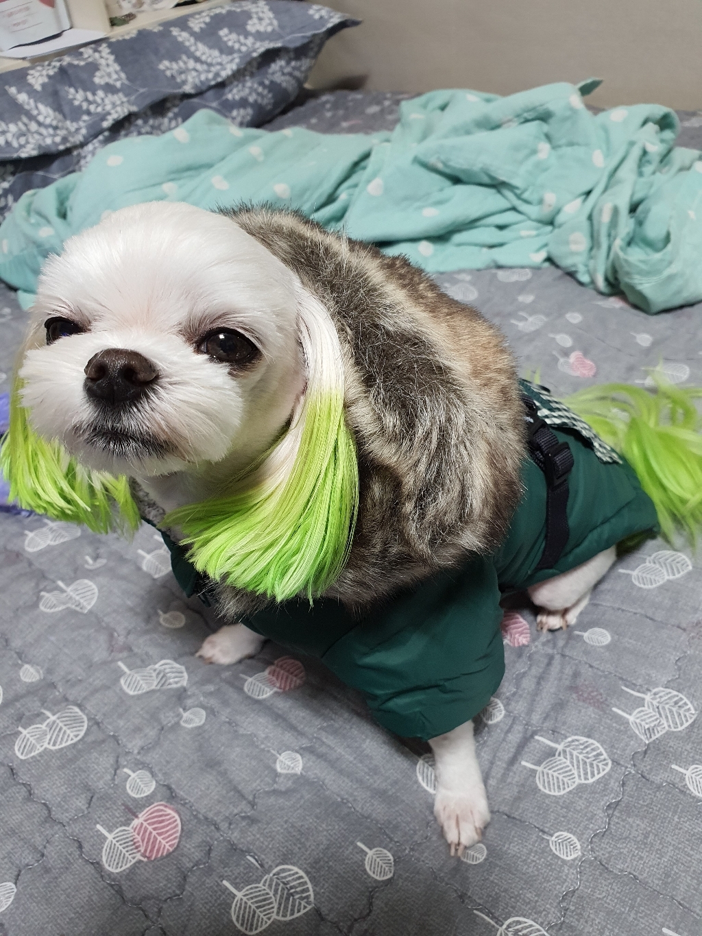 퍼피아 반려동물 벨라미 하네스 패딩 점퍼