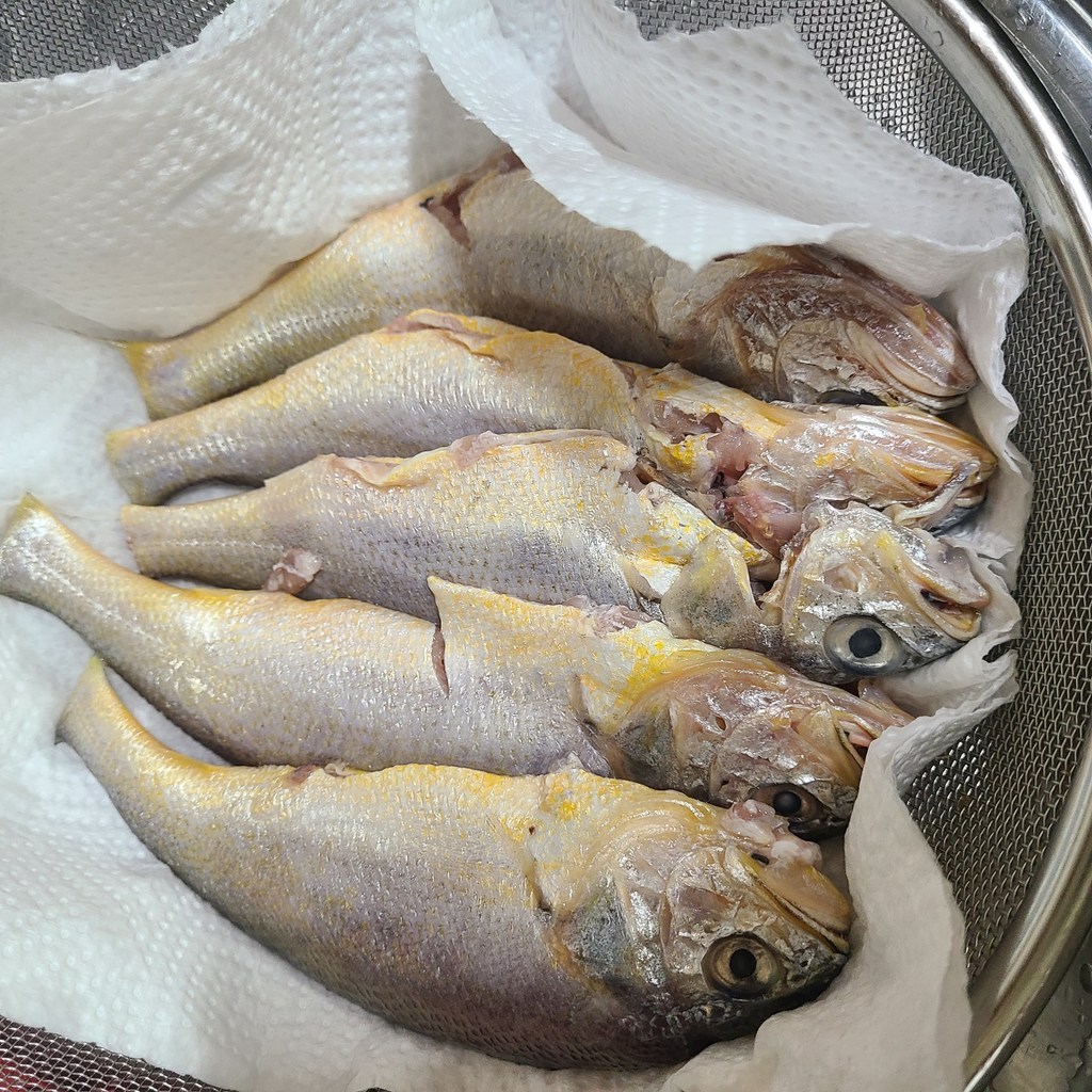 제주 참조기 10마리 리뷰후기