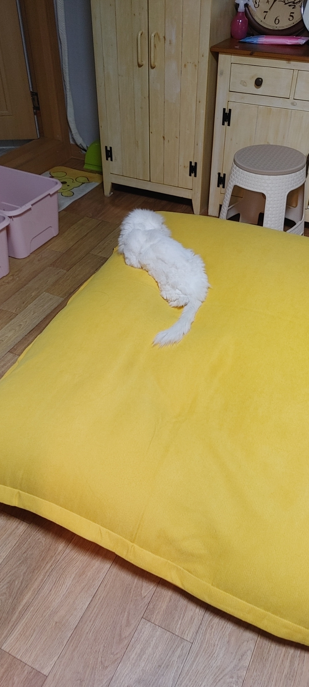 홈바디즈 초대형 빈백쇼파 1 2인용소파 탈부착형 리뷰 후기