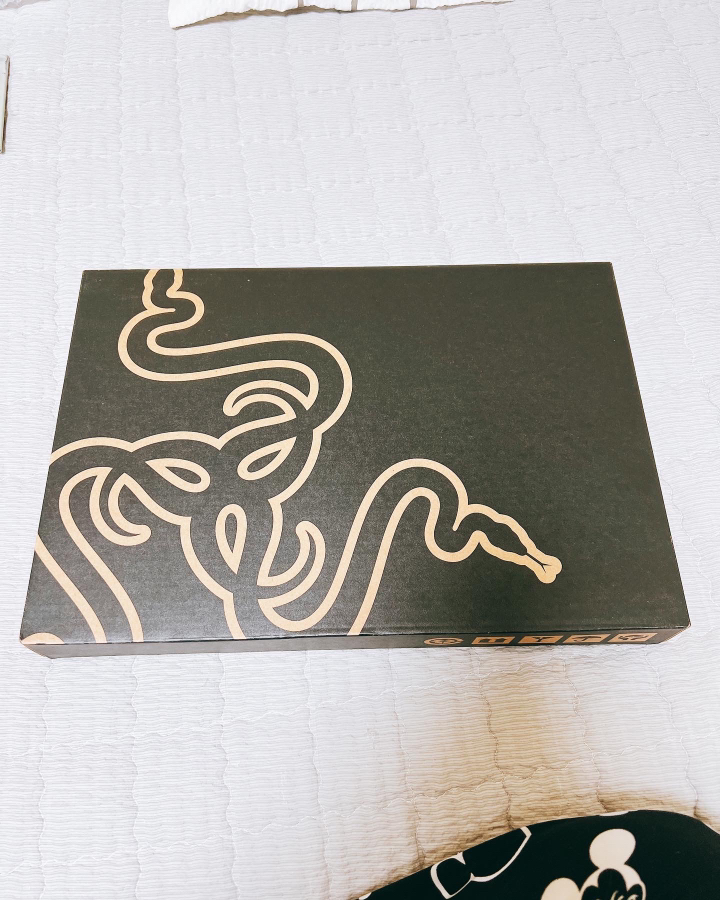 Razer Bade 14 R9 Zen3 R3070 QHD 노트북