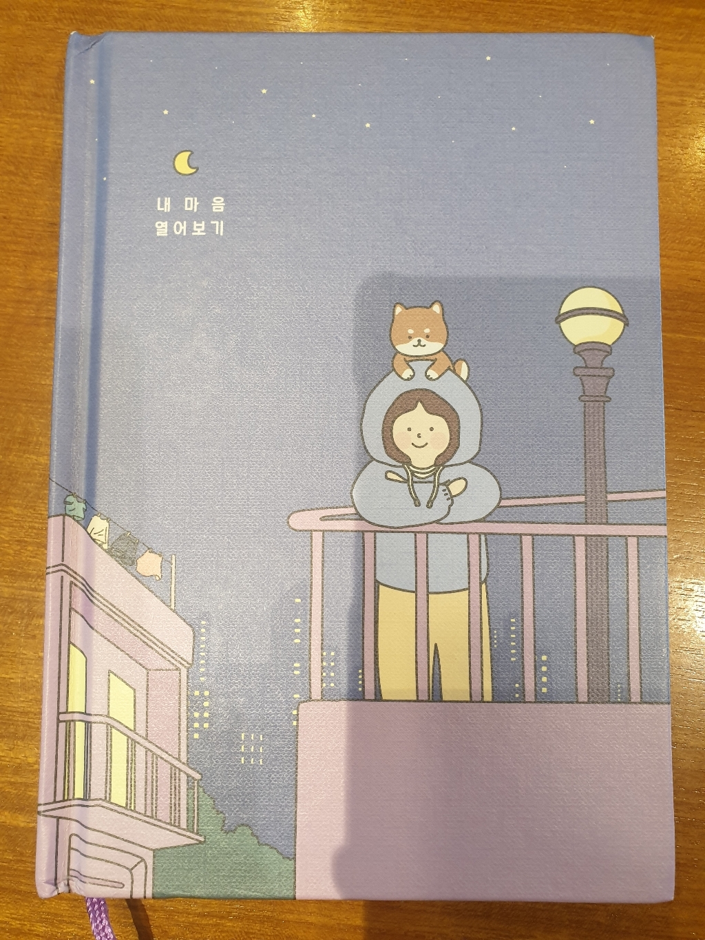 핑크풋 12000 100가지 내 마음 열어보기 다이어리 112매
