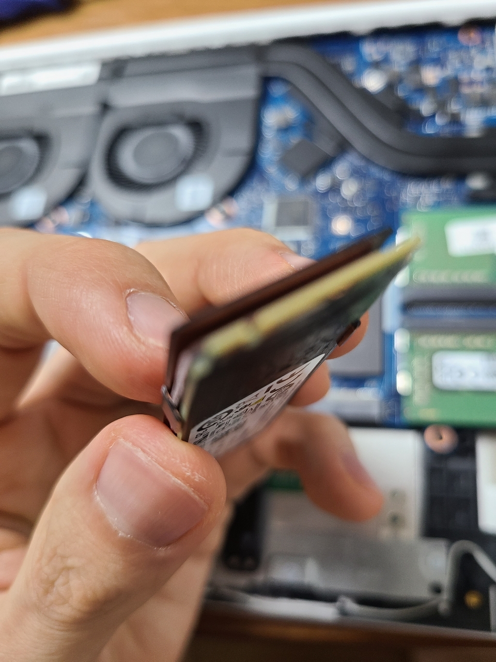 SK하이닉스 OD 31 NVe SSD