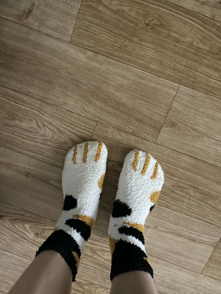 시너싹스 귀엽고 따뜻한 냥냥이 수면 양말 5켤레