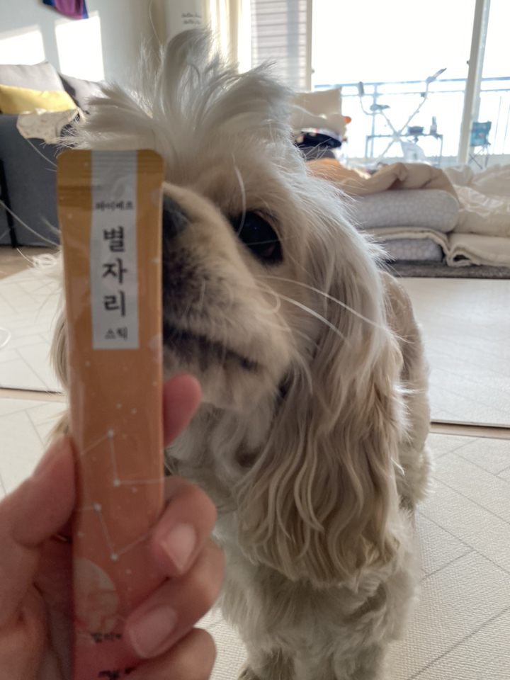 마이베프 별자리스틱 짜먹는 고양이 간식