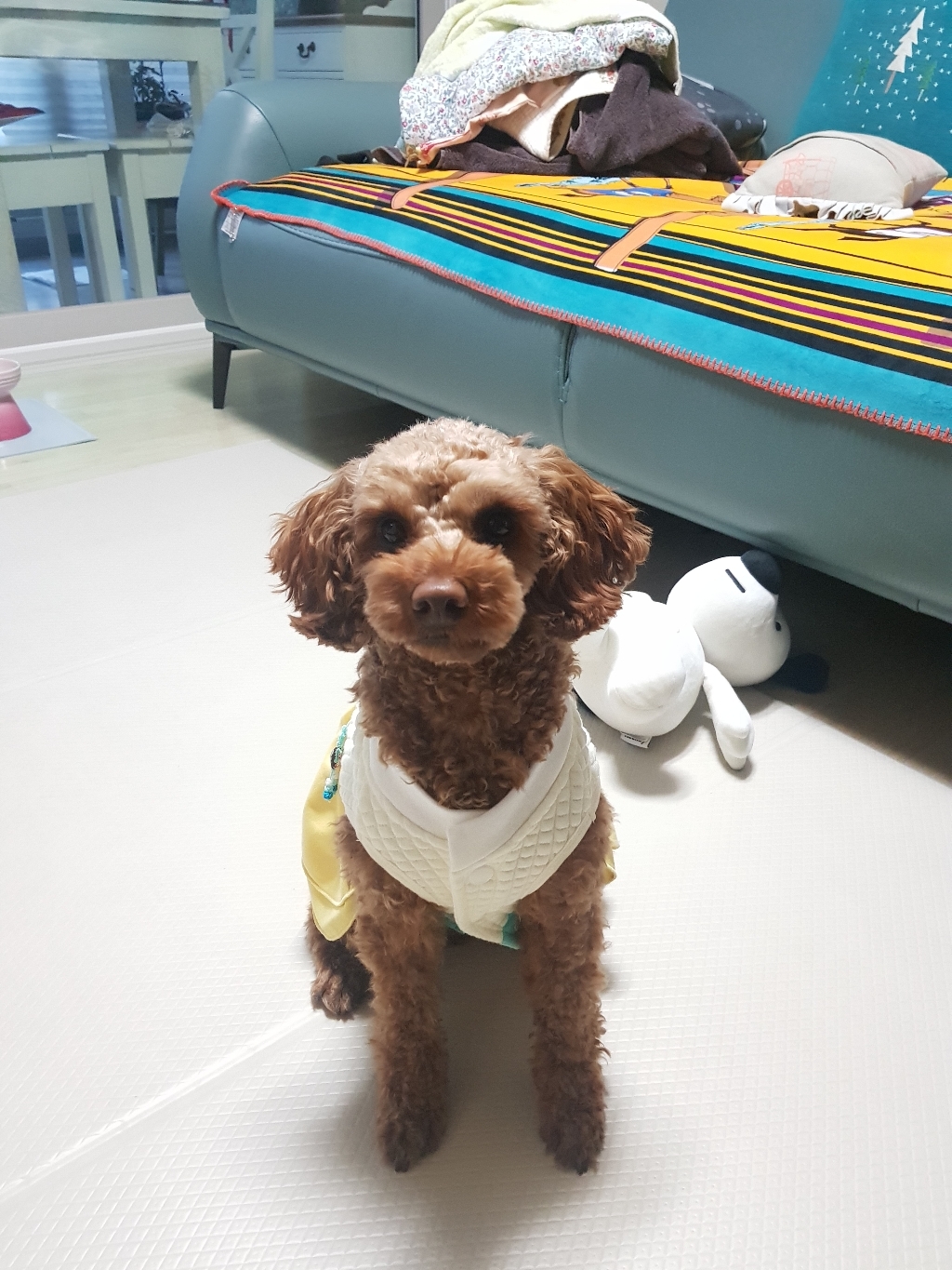 패리스독 강아지 걸즈 한복