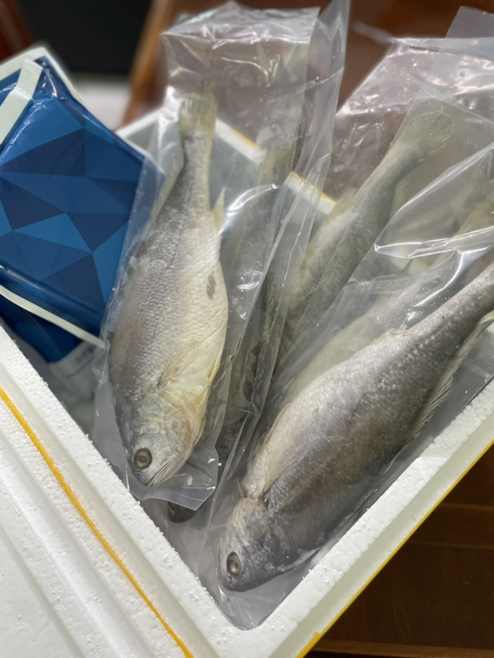 반건조 조기 5마리 / 큰조기 제수용 부세 굴비 제수용생선