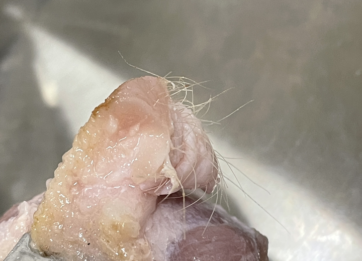 반야월 뒷고기 왕덜미살 리뷰후기
