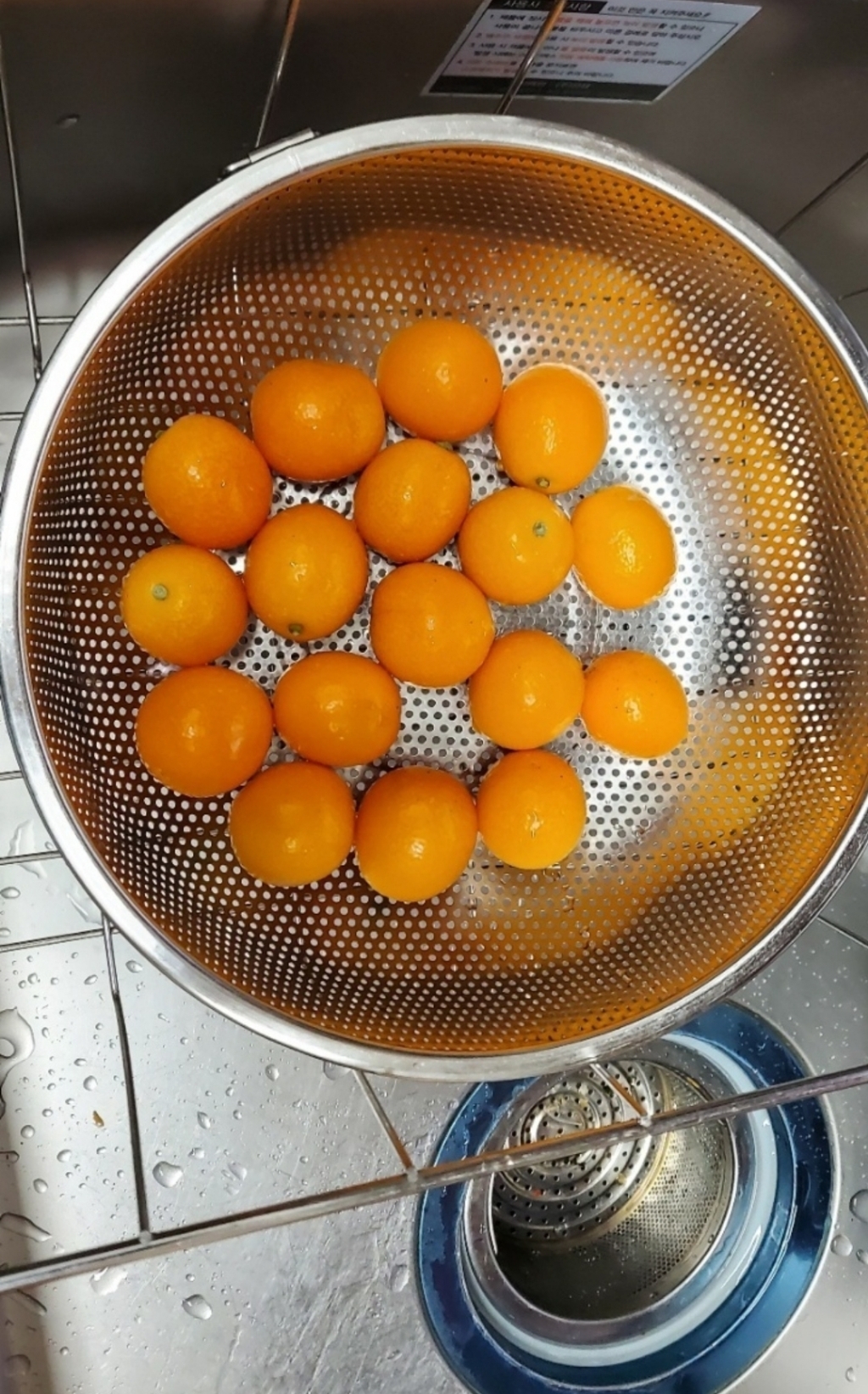한입에 쏙 제주 금귤 낑깡