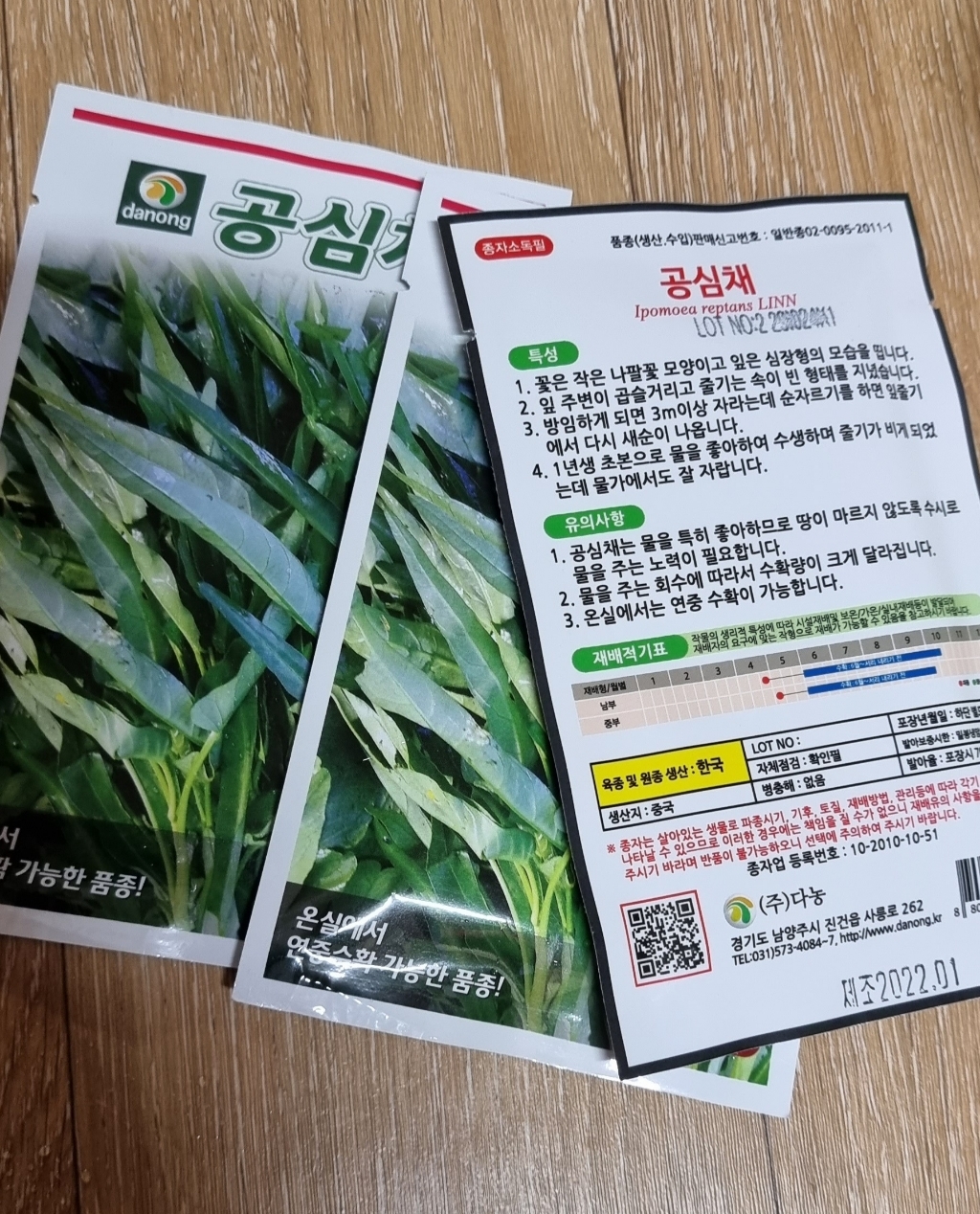 다농 공심채씨앗