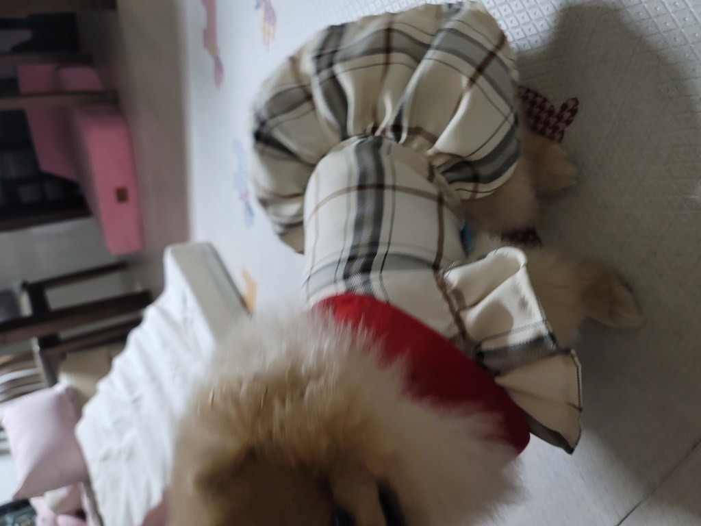 펫리팜 강아지 봄옷 체크무늬 하네스 옷 스커트 드레스