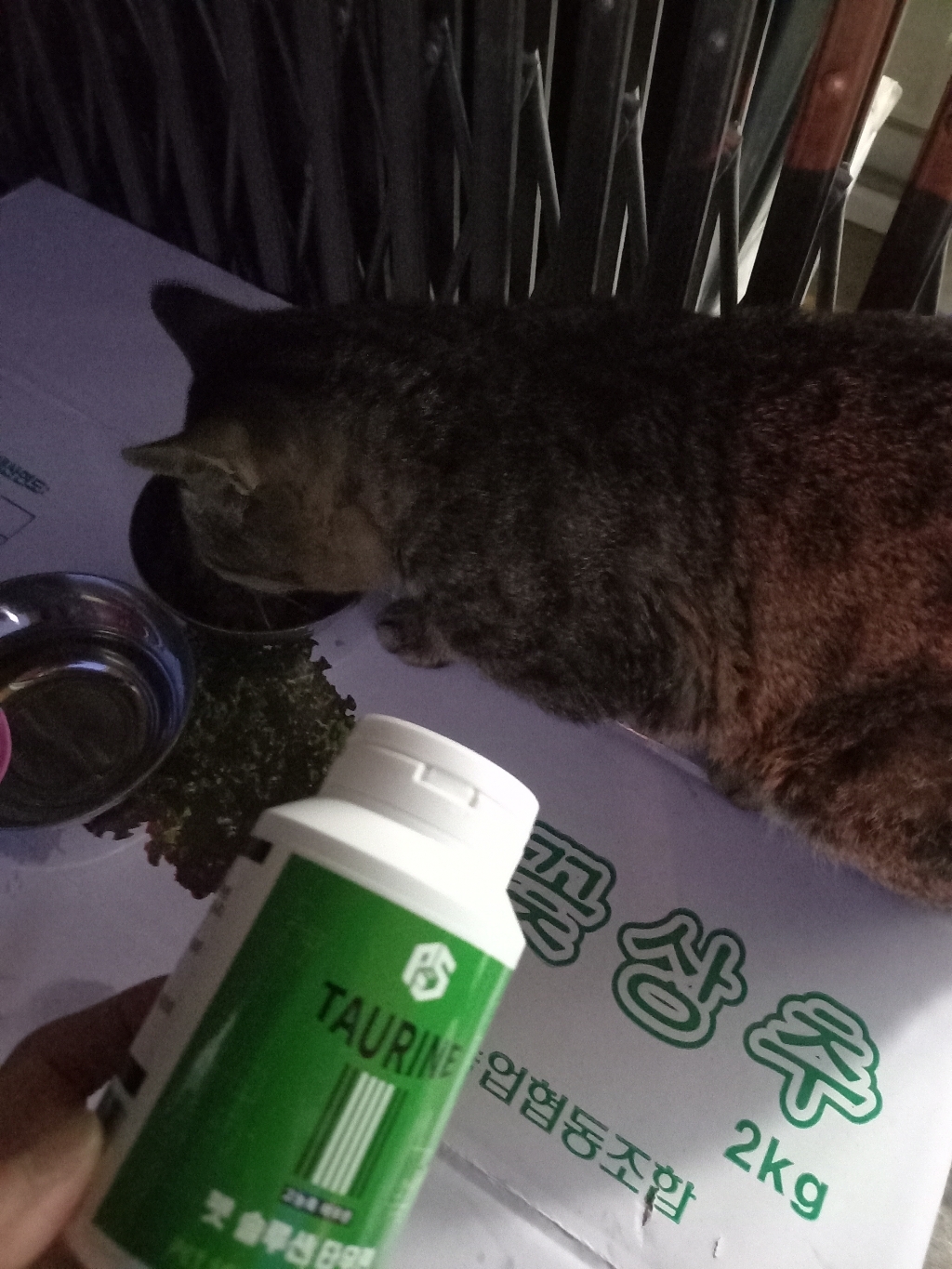 펫솔루션 타우린 고양이 영양제