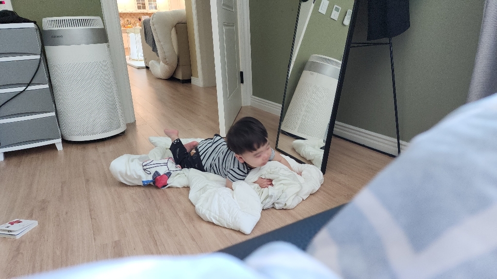 도토 모달 낮잠이불 토들러 4계절용 토들러 1055140