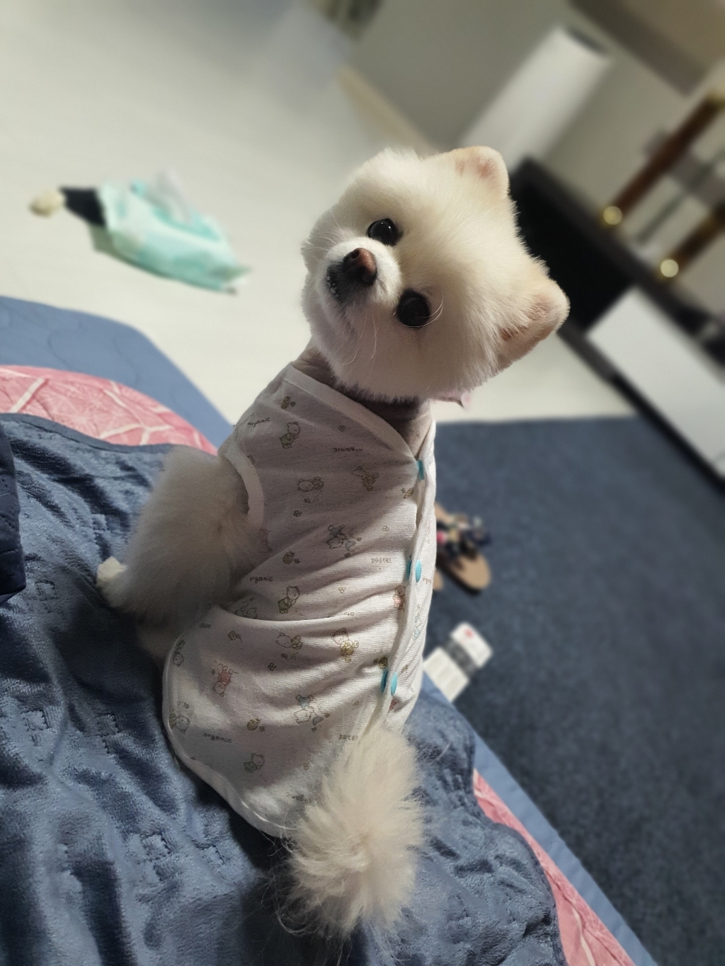 해피앤퍼피 강아지옷 오가닉 실내복 조끼 잠옷 내복 노령견옷 커플룩 애견옷 봄 여름 가을 겨울 XS-3X