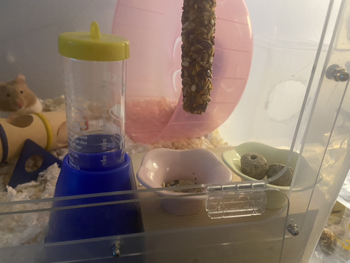 에이러블 햄스터 원목 그네 점프대 선반 B0041