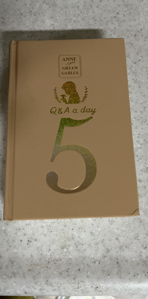 빨강 머리 앤이 5년 후 나에게: Q&A a day