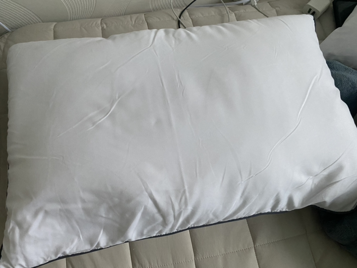 린튼 블랙라벨 나노 다운필 베개솜