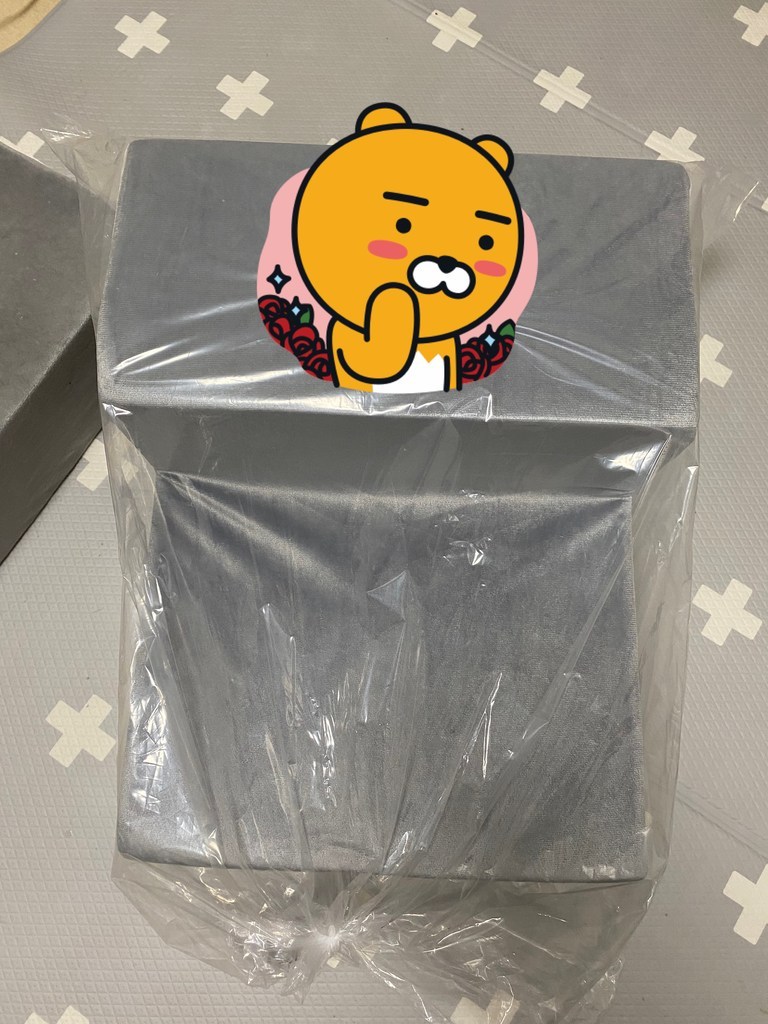 레드퍼피 세리나 펫스텝 리뷰후기