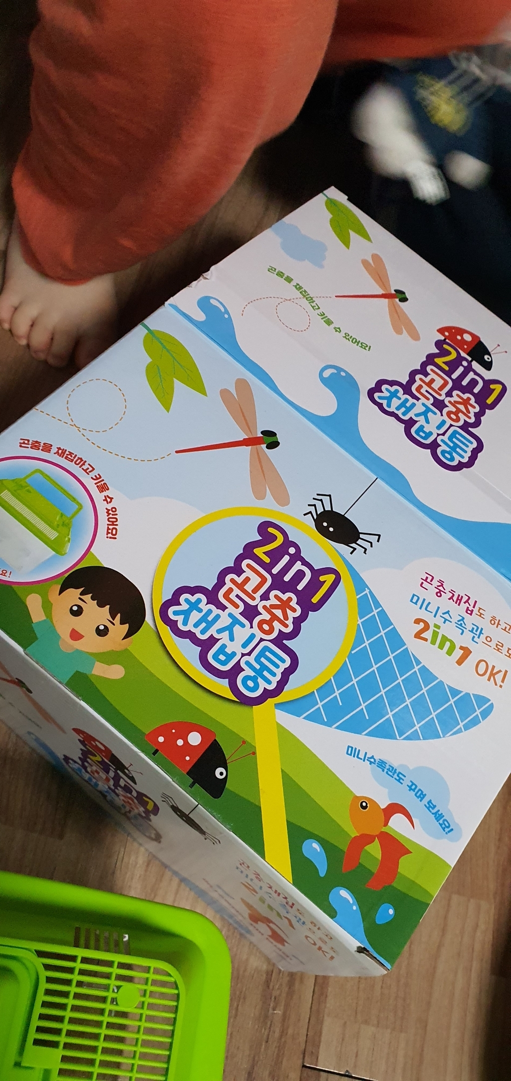 2in1 곤충 채집통 대형 뚜껑 랜덤발송