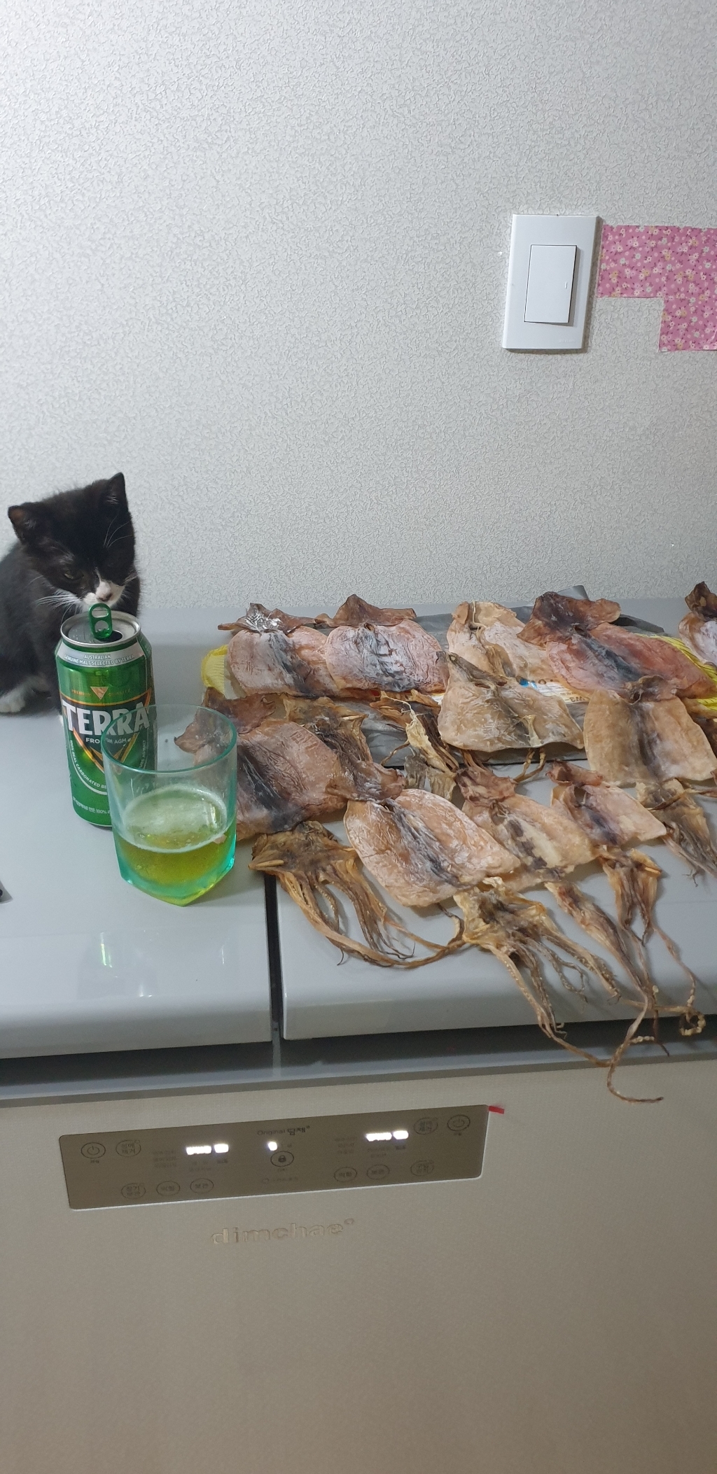 동해안 특 파품 건오징어 리뷰후기