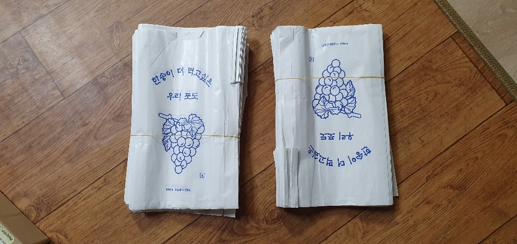 [무료배송]포도 봉지 위생 봉투 200매  작업장갑 set 100매 2세트 복숭아 배 사과 샤인머스켓 봉투 핀부착 친환경 위생봉투 거봉 청포도 리뷰 후기