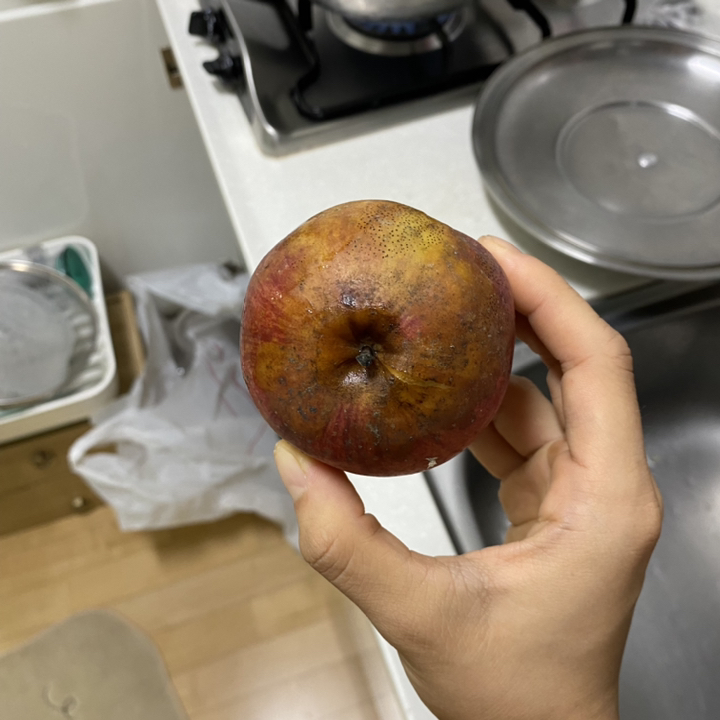 한입 꼬마사과 2733과 리뷰 후기