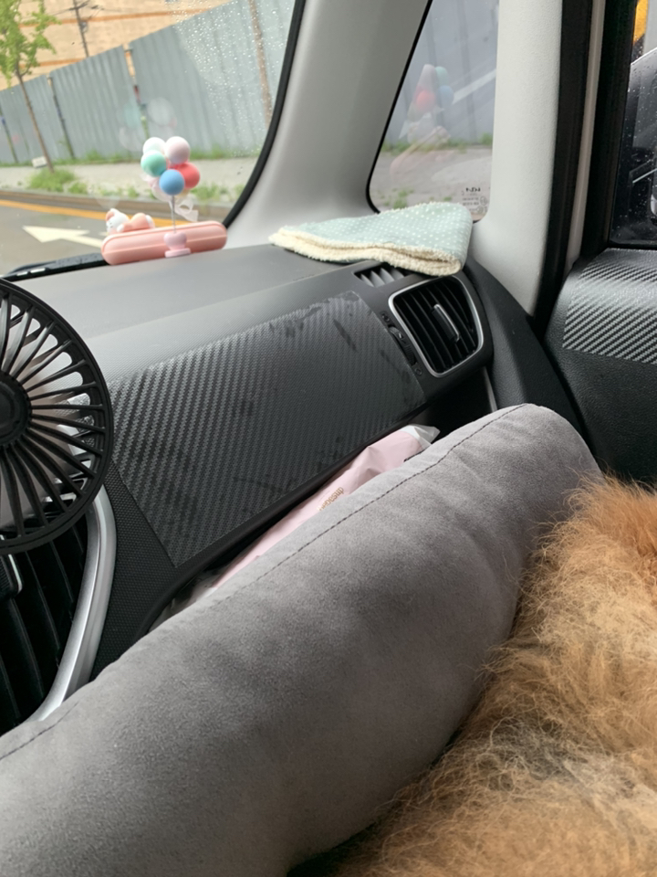 오토크루 차량용 무광 패턴 F 노기스 보필름