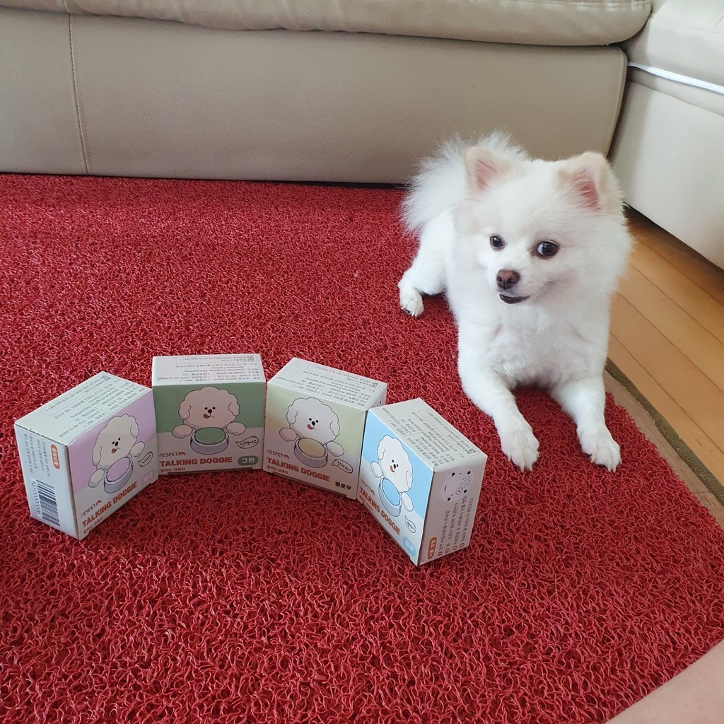 리스펫 말하는 강아지 녹음벨 훈련용품 4종
