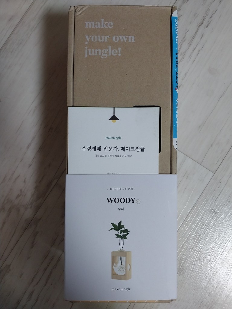 메이크정글 공기정화식물 기프트 테이블야자