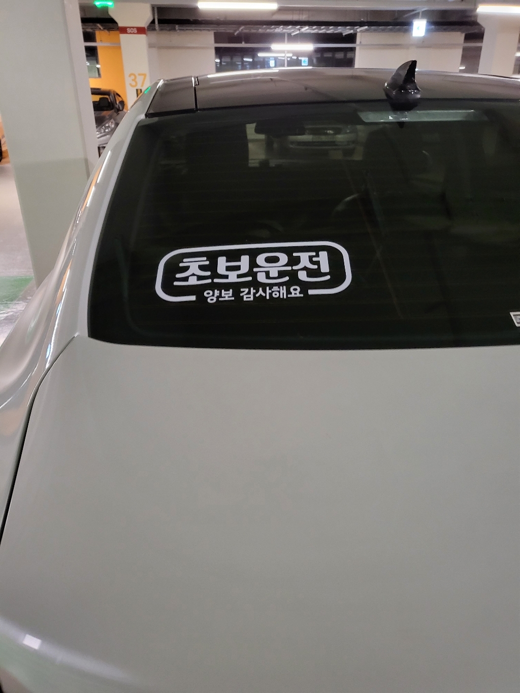 제제데코 자동차 스티커 심플라인 초보운전