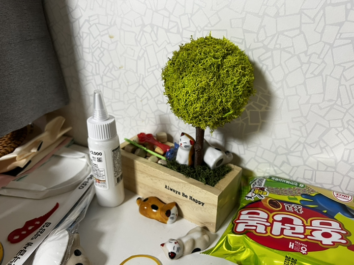 스칸디아모스 편백 나무 화분