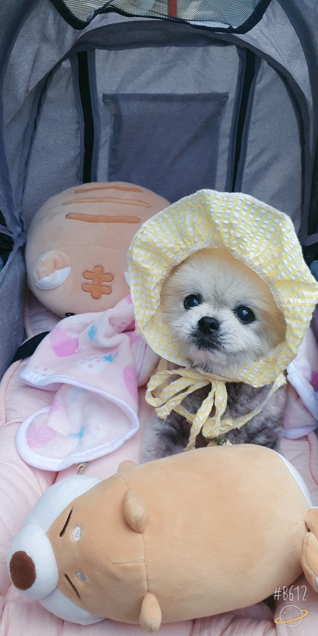 카페라떼 꿀잠 개모차