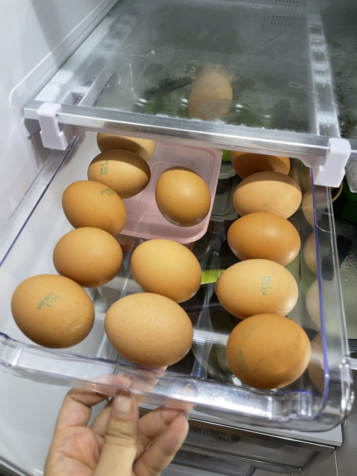 정월나나 냉장고 설치형 간편 계란 트레이 보관함