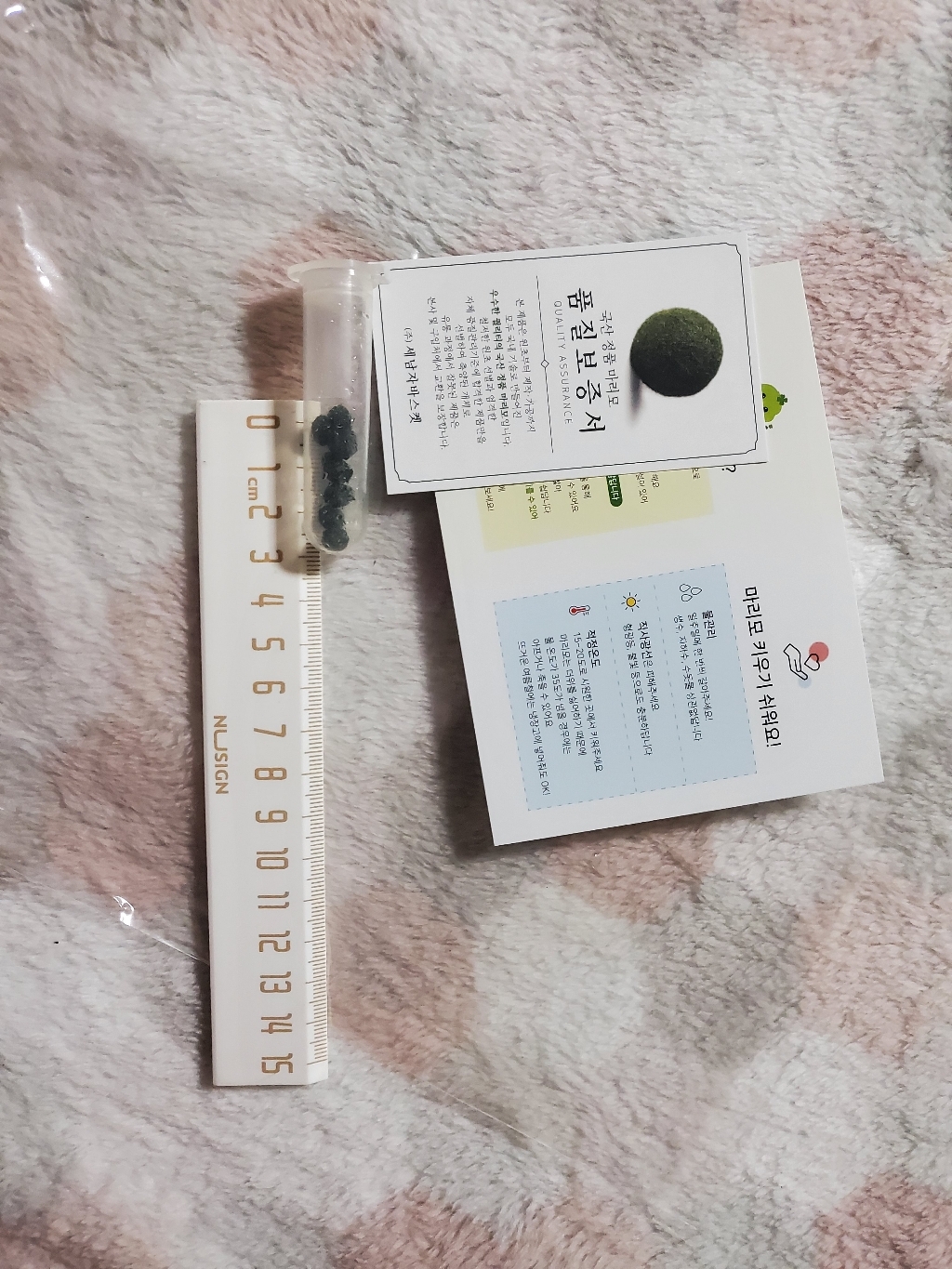 세남자바스켓 수경식물 국산 마리모 단품 리뷰 후기