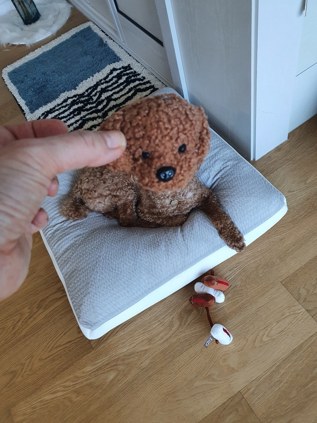 푸들 강아지 곰 뽀글이 인형 낱개구성 신발 악세사리 실내화 슬리퍼 운동화 꾸미기
