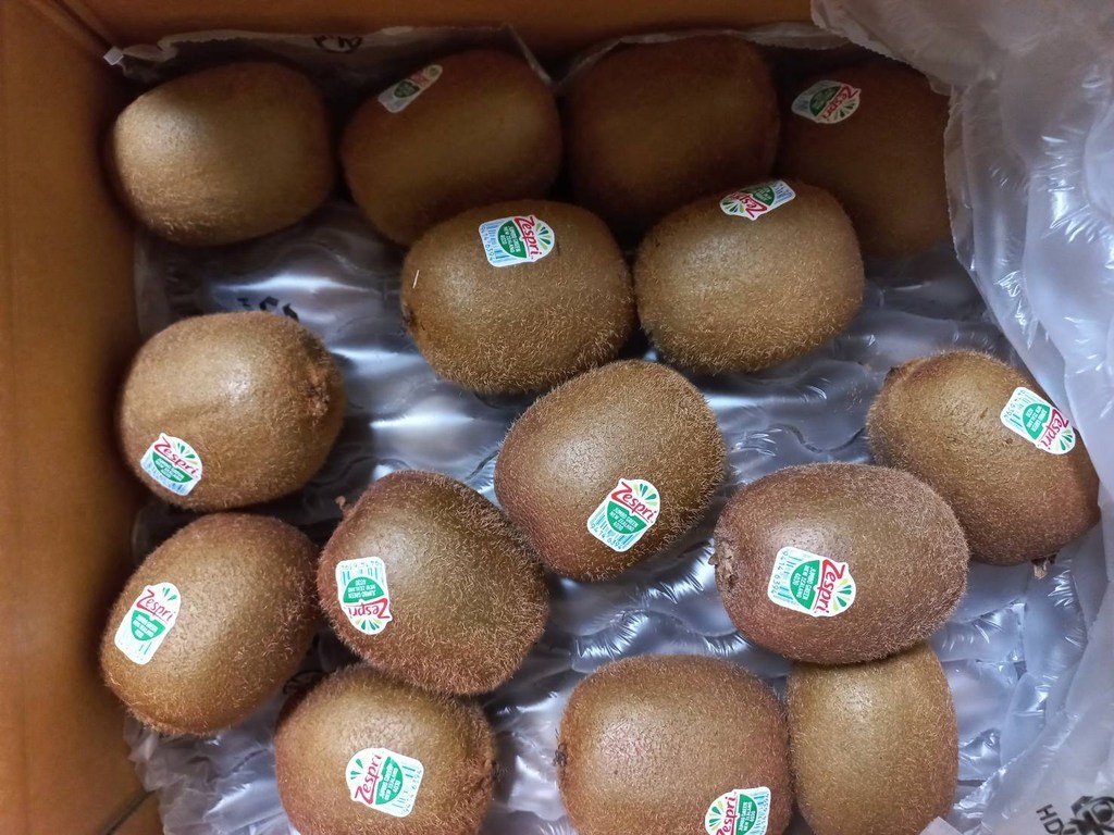 제스프리 뉴질랜드 그린키위 점보