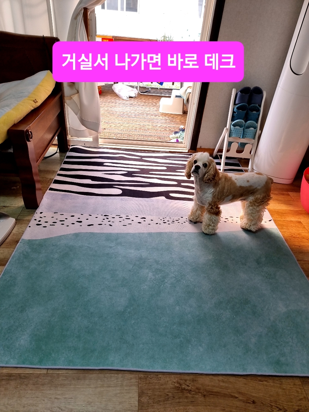 꼬까 모란디스타일 카페트 러그