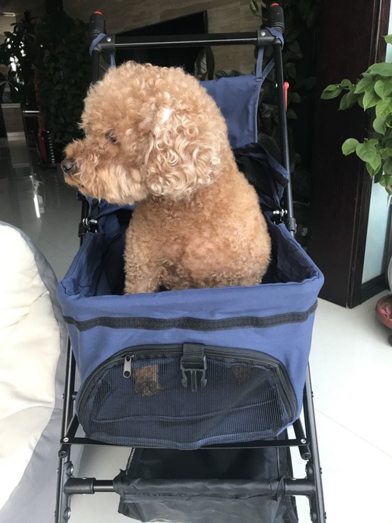 강아지유모차 개모차 반려견 중형견 고양이 애견유모차 접이식