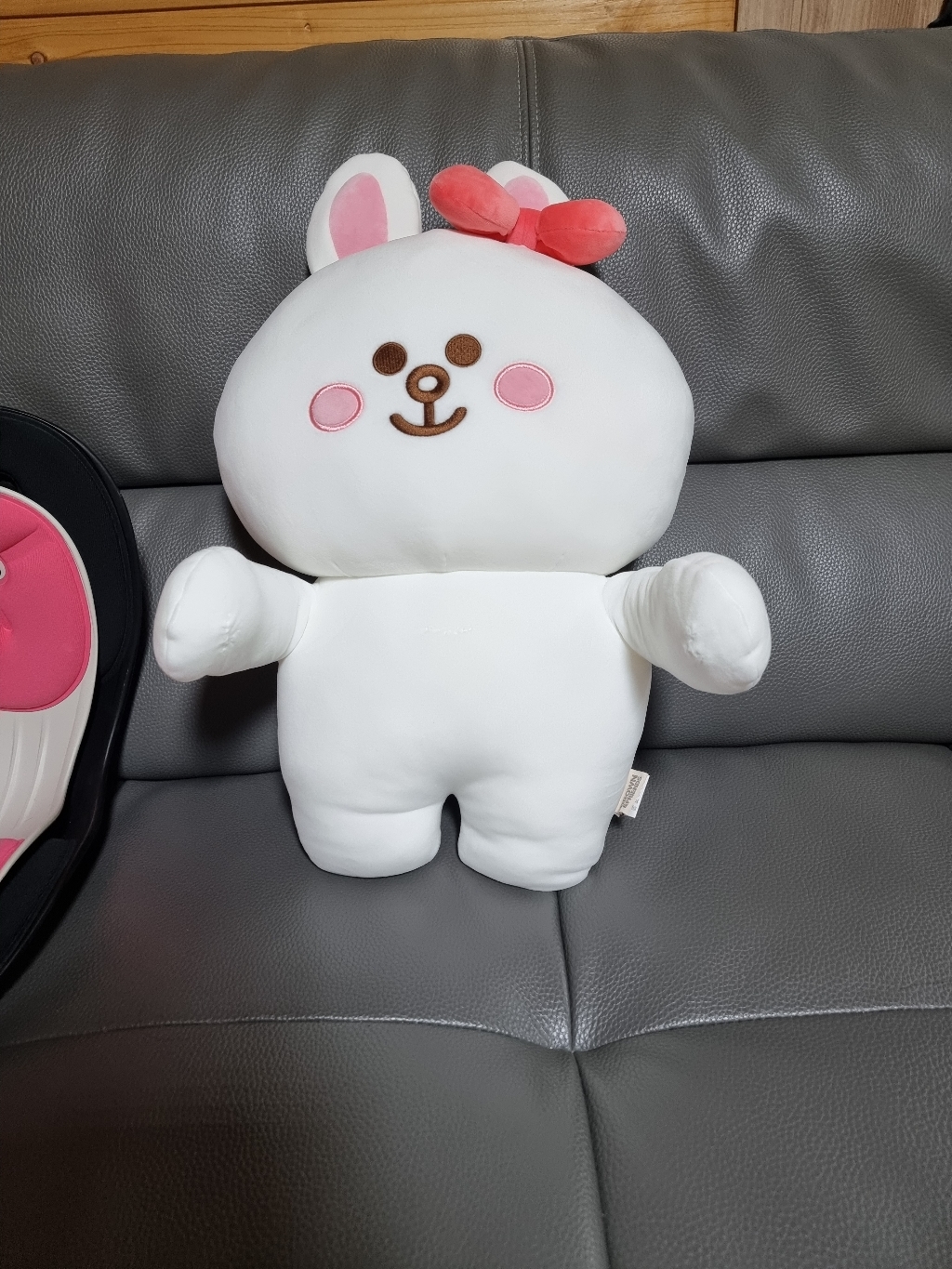 브라운앤프렌즈 빅 말랑 쿠션
