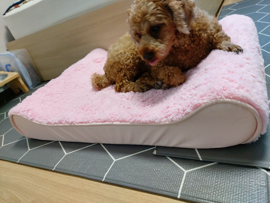 개과천선 강아지 고급 극세사 방석