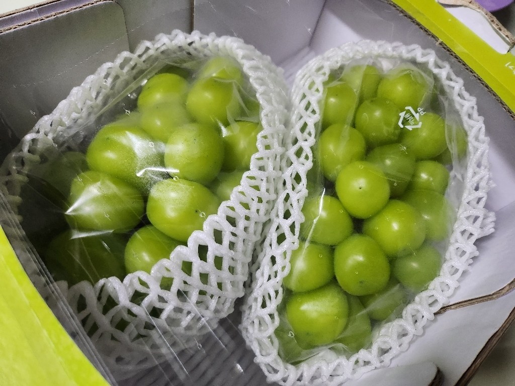 농협 서상주 샤인머스캣