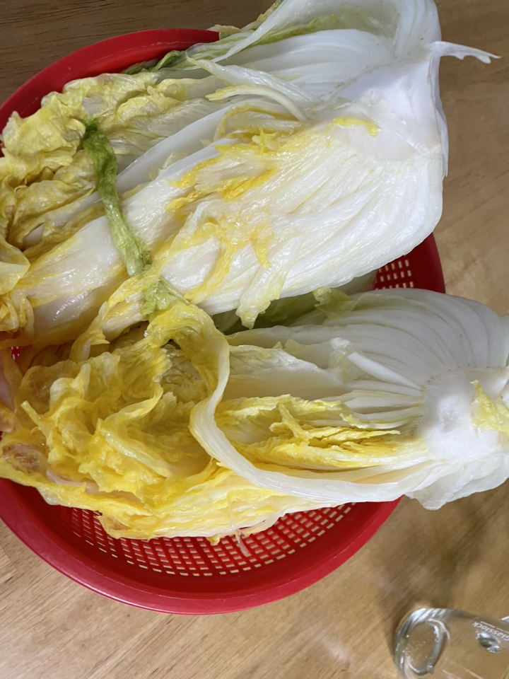 모산 진경 절임배추