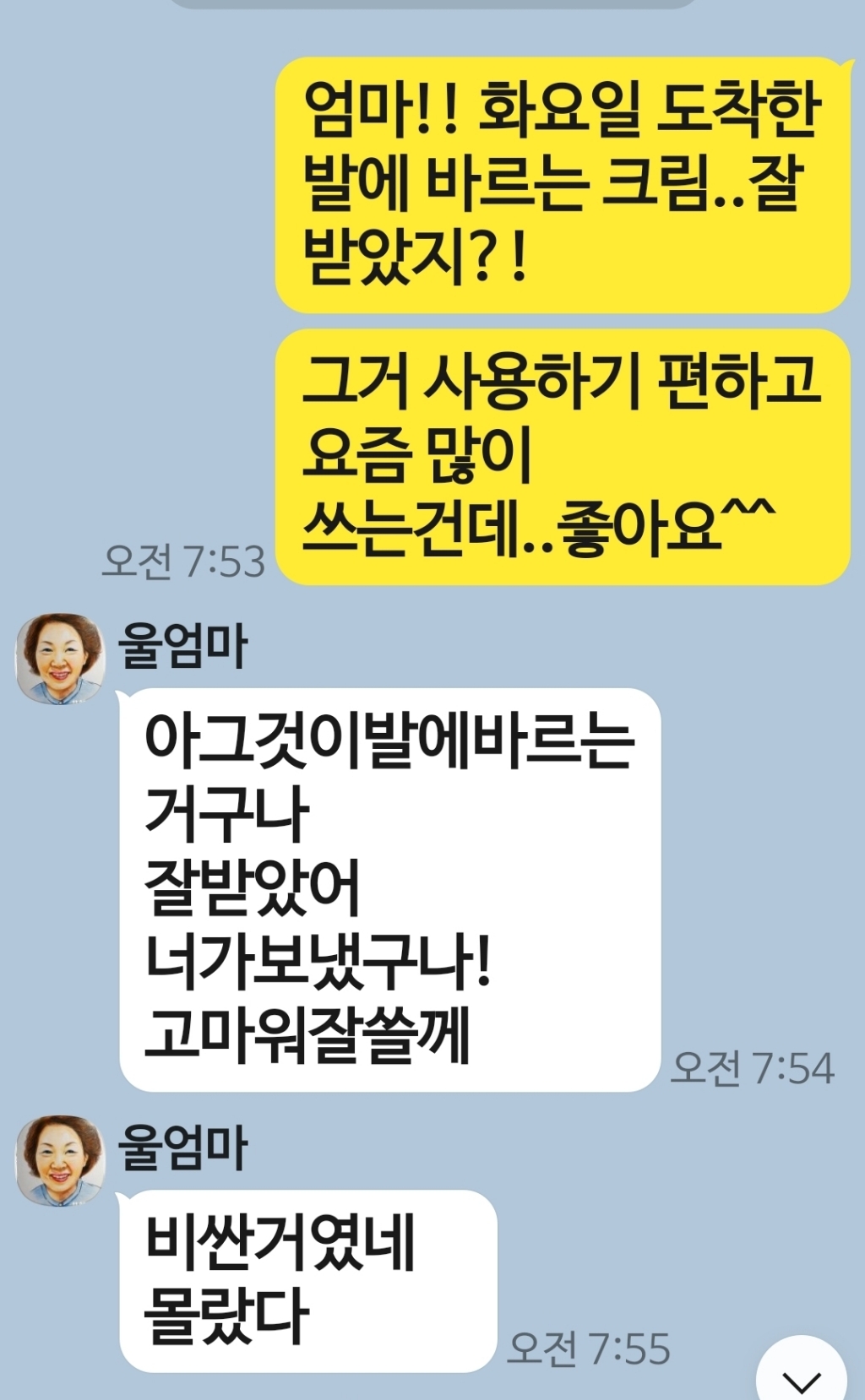 아유아유 보들풋스틱