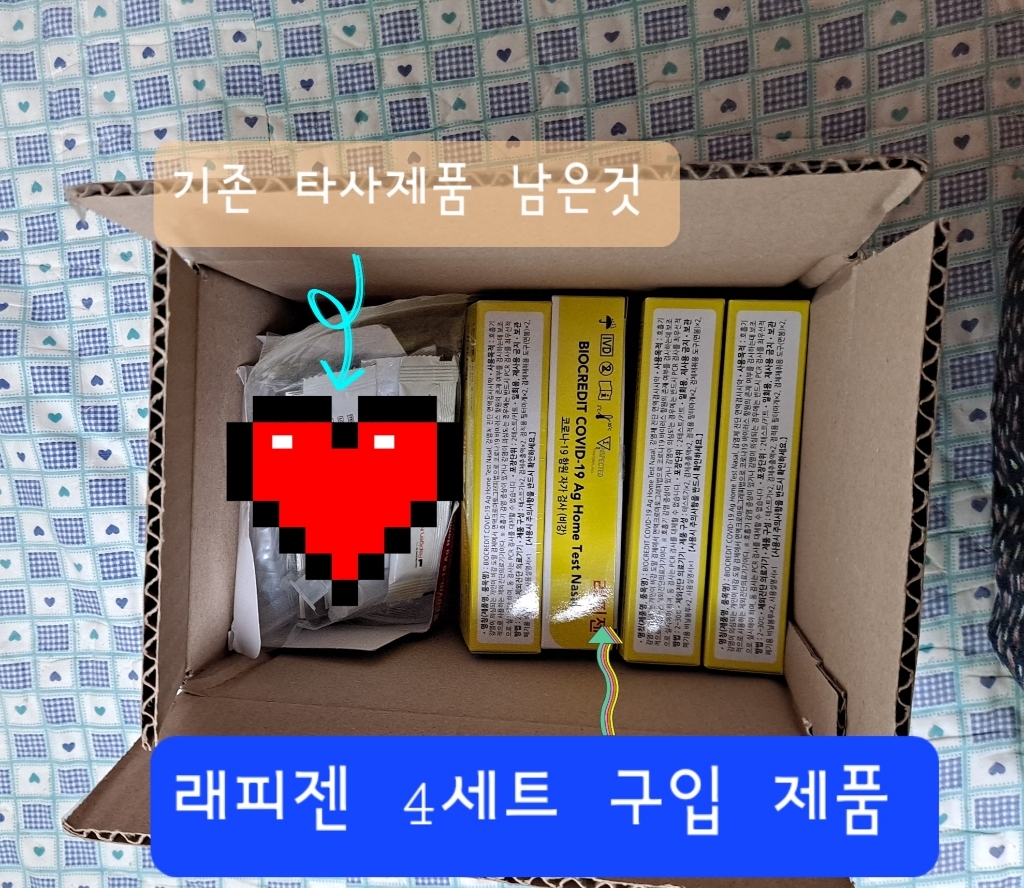 래피젠 코로나 자가 진단 69RHSB1 4개